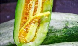 网红被爆料吃瓜,背后真相引发热议